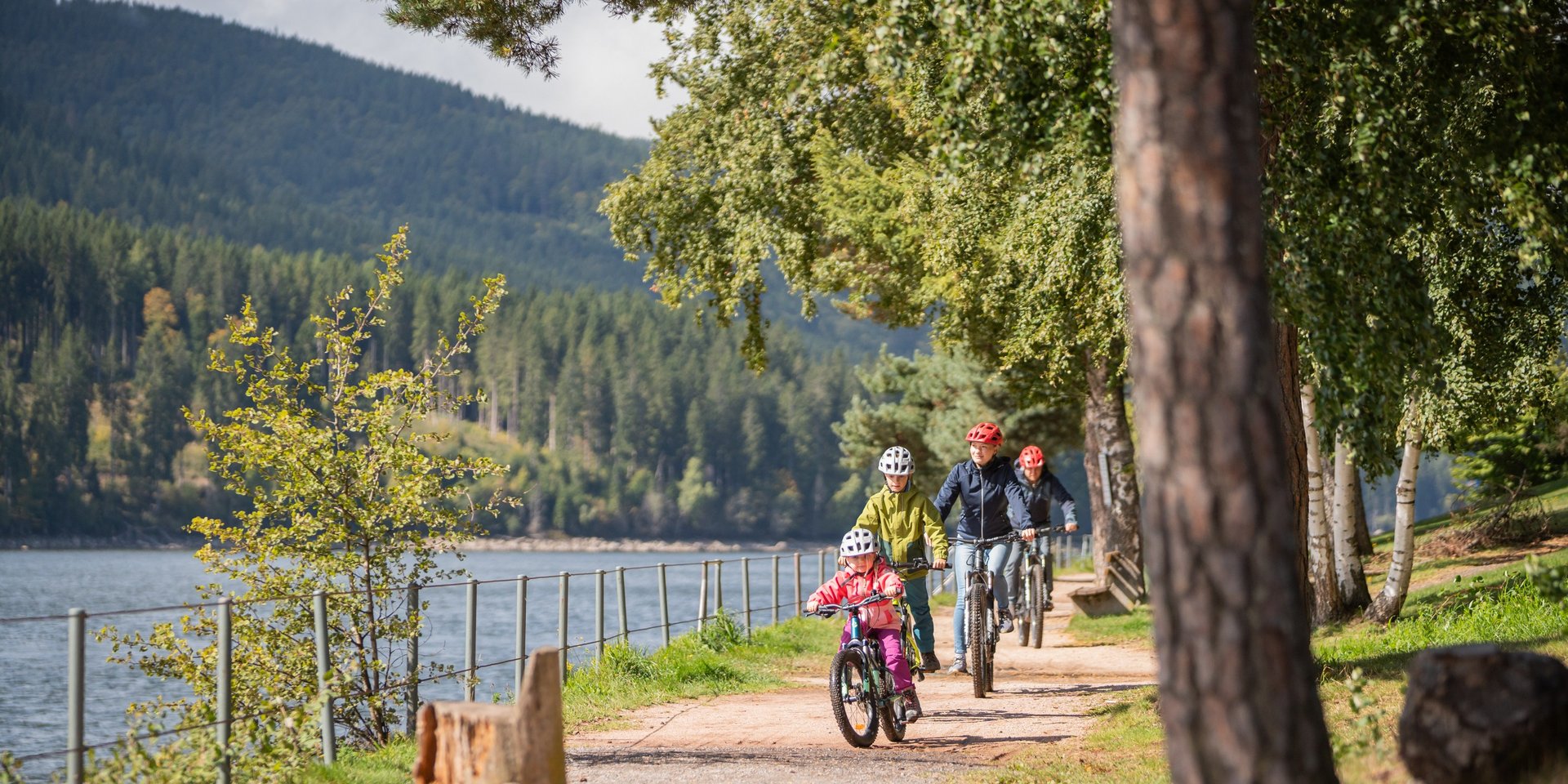 Familienausflug auf dem Fahrrad: Radfahrer auf einem sonnigen Waldweg entlang des Schluchsees.