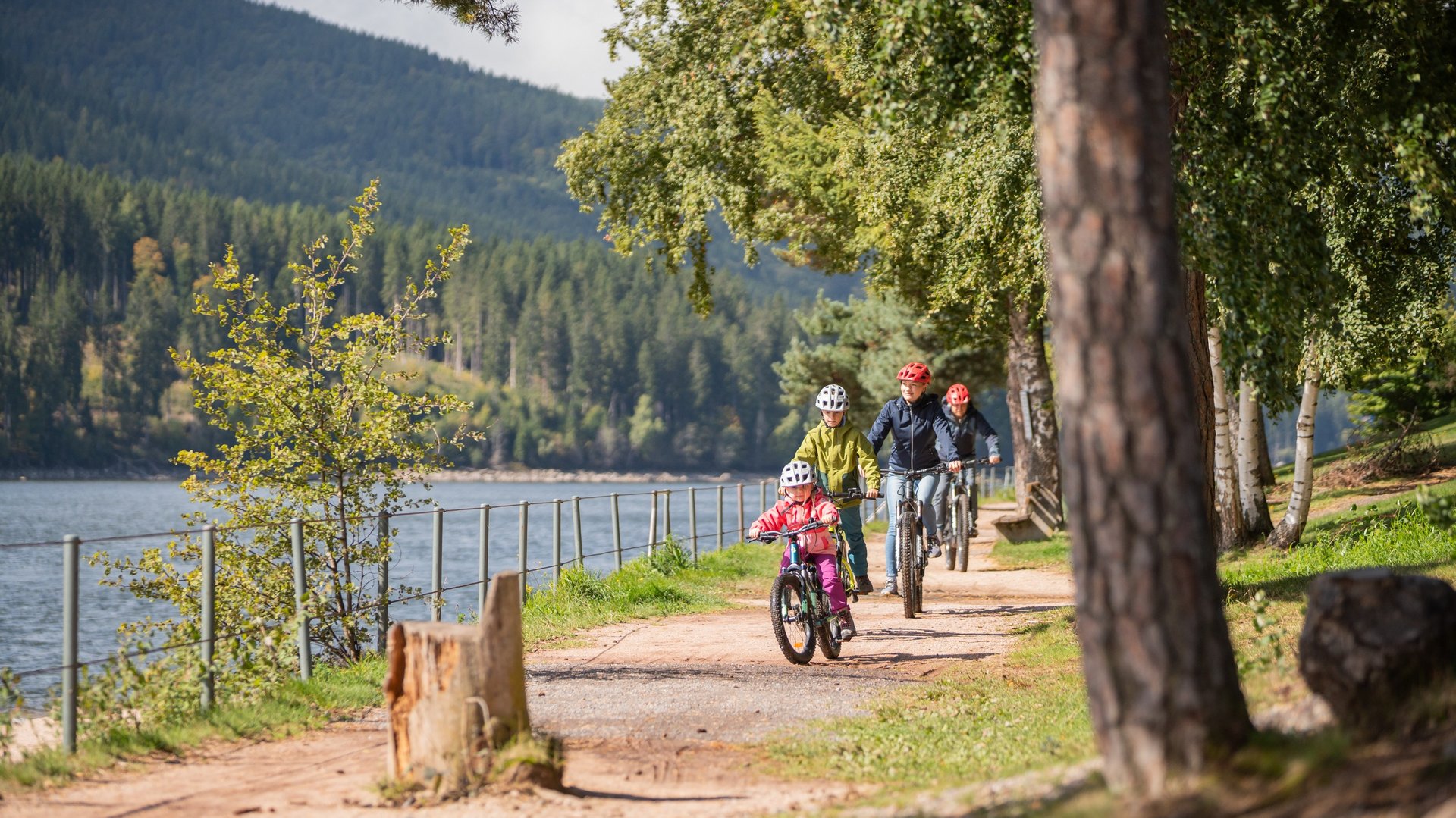 Familienausflug auf dem Fahrrad: Radfahrer auf einem sonnigen Waldweg entlang des Schluchsees.