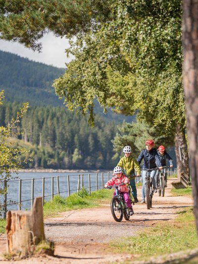 Familienausflug auf dem Fahrrad: Radfahrer auf einem sonnigen Waldweg entlang des Schluchsees.