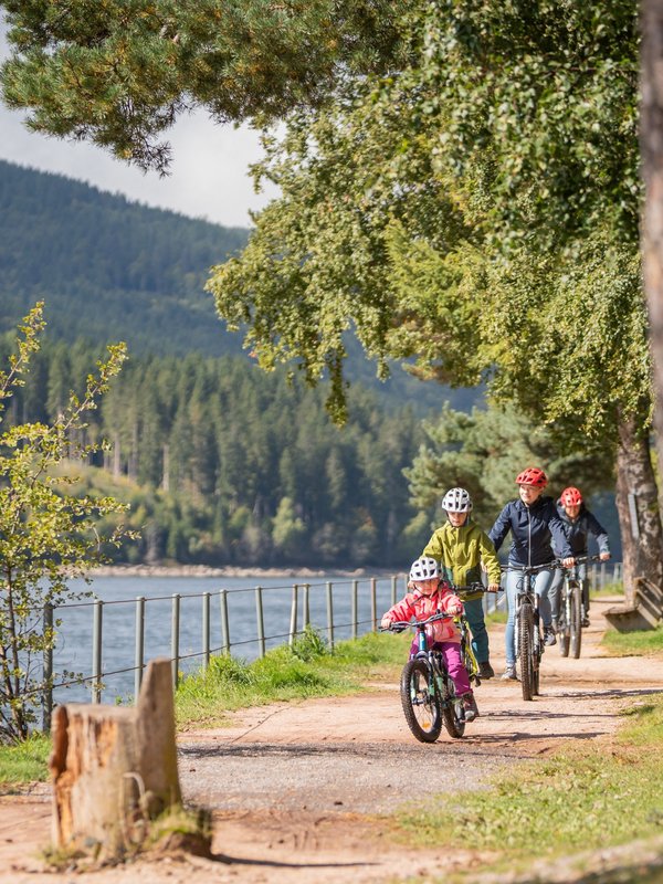 Familienausflug auf dem Fahrrad: Radfahrer auf einem sonnigen Waldweg entlang des Schluchsees.
