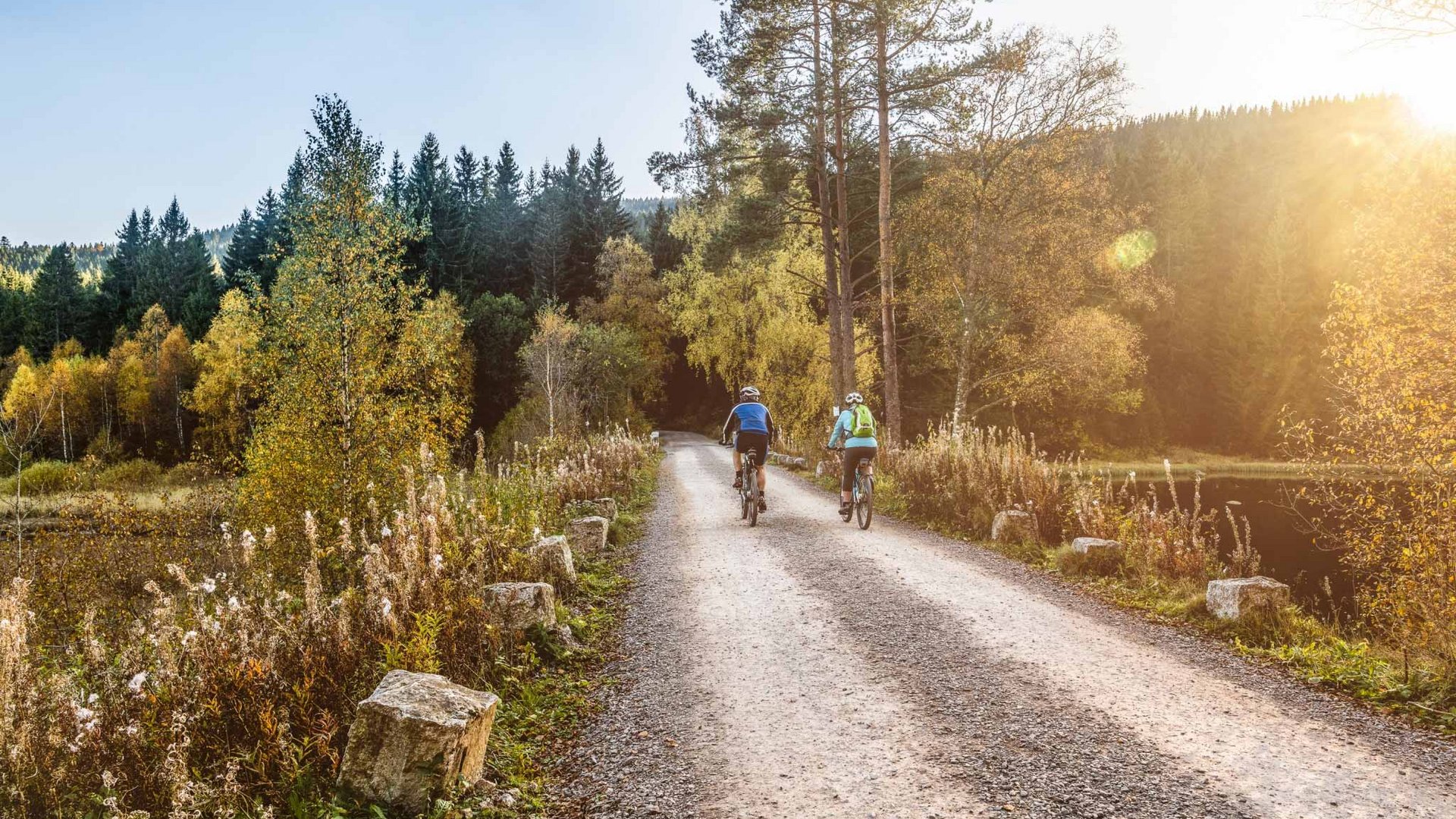 Ein sonniger Waldweg führt entlang des Schluchsees im Schwarzwald, ideal für Radtouren beim Hotel Vier Jahreszeiten.