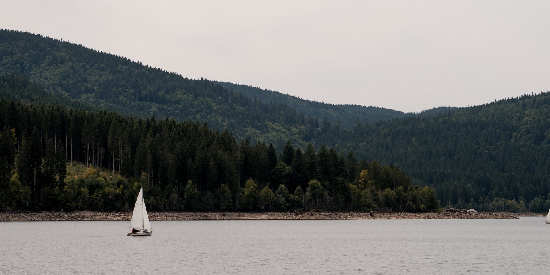 Ein weißes Segelboot gleitet auf dem Schluchsee vor der Kulisse bewaldeter Berge.