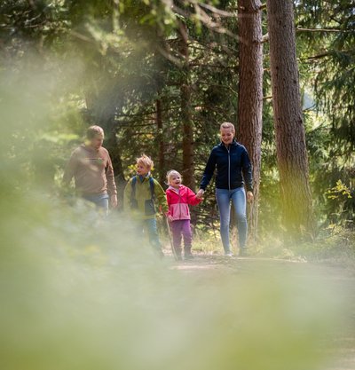 Kinder laufen voller Vorfreude einen Waldweg entlang während eines Familienausflugs.