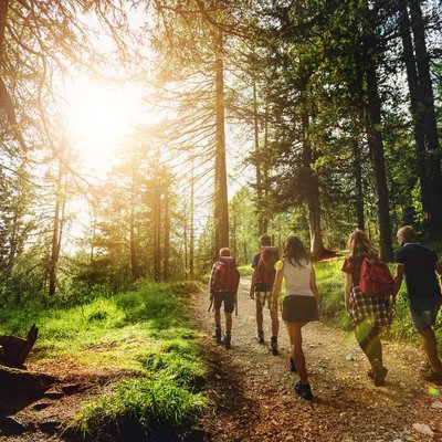 Eine Gruppe von Wanderern genießt einen sonnendurchfluteten Waldweg in der idyllischen Natur.