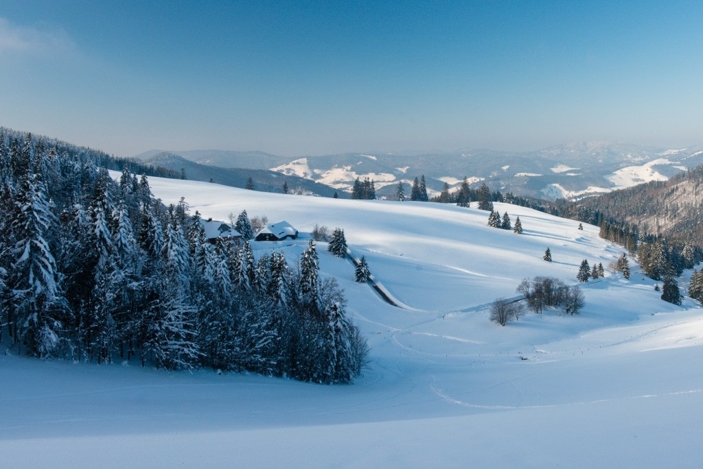 winterlandschaft-schwarzwald