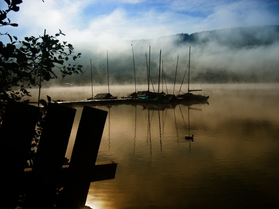 titisee_nebel_boote