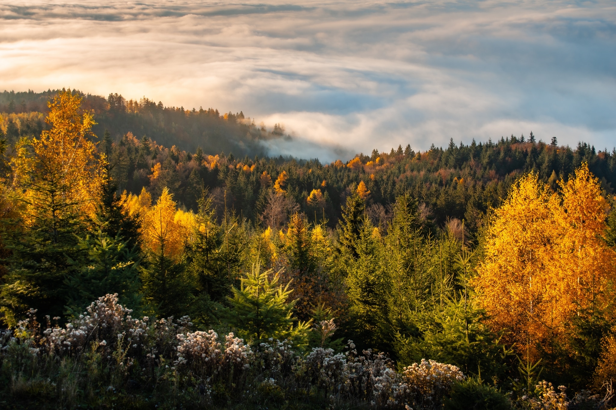 Herbsturlaub & Winterurlaub in Schluchsee im Schwarzwald