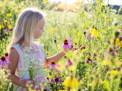 Kleines Mädchen im Sommer inmitten von Blumen