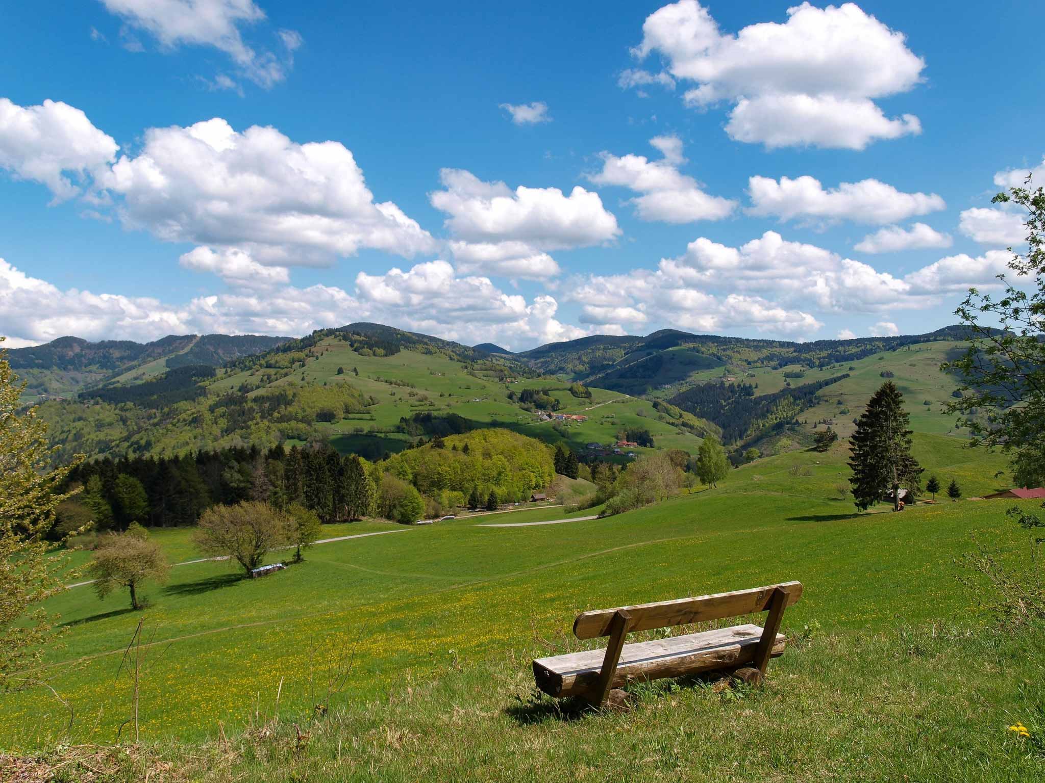 Holzbank und Panoramablick auf Schwarzwald