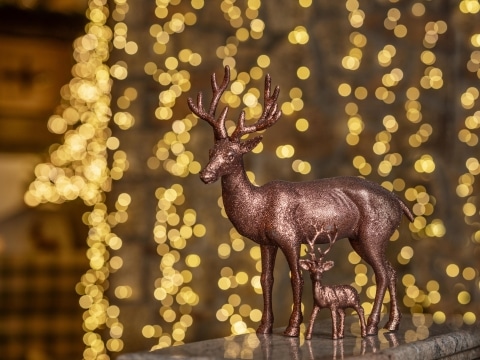 Weihnachtsdeko mit Hirschen vor Lichterteppich im Vier Jahreszeiten am Schluchsee