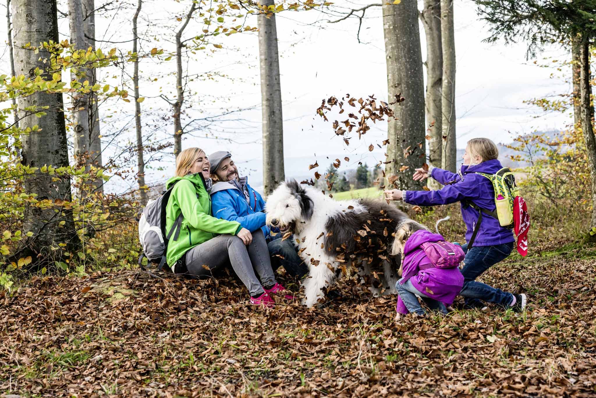 Familie mit Hund spielen mit Laub im Schwarzwald - Vier Jahreszeiten am Schluchsee