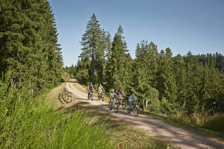 Familie mit Fahrrädern auf einem Weg durch den Wald