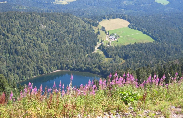 Blick auf den Feldsee vom Feldberg im Schwarzwald