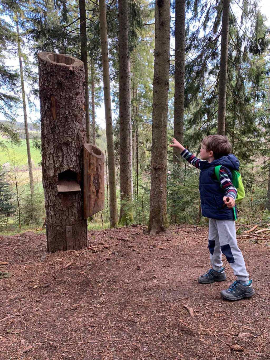 Kind wirft Tannenzapfen in Baumstumpf