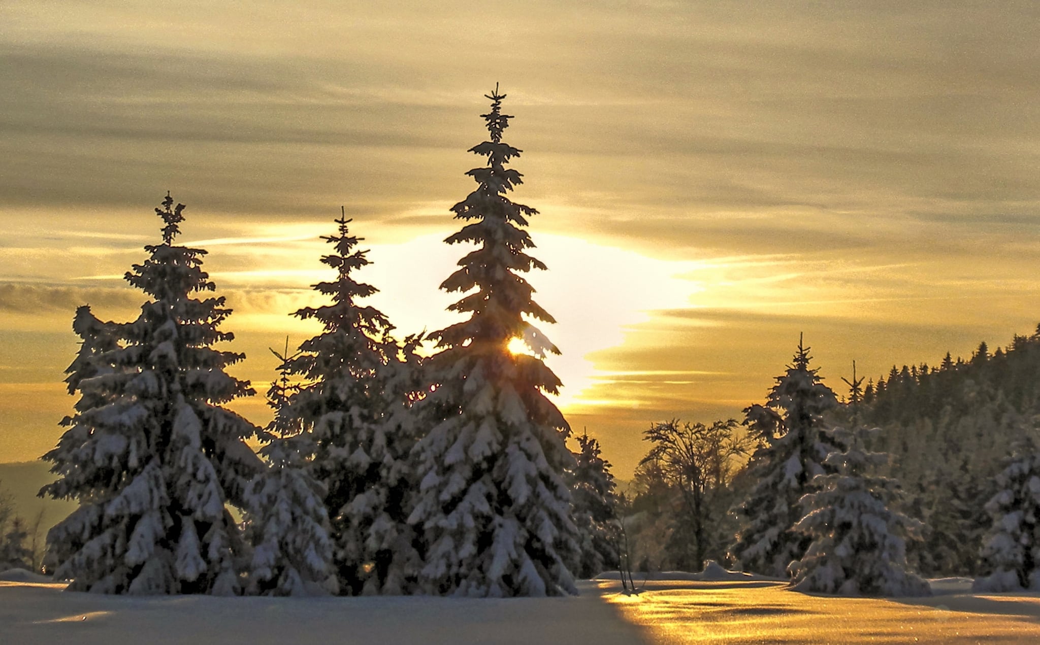 Sonnenuntergang in der Schwarzwälder Winterlandschaft