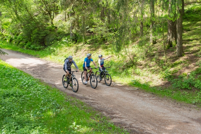 E-Bike Tour einer Familie im Hochschwarzwald