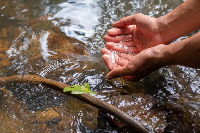 Hände schöpfen Wasser aus einem Bach